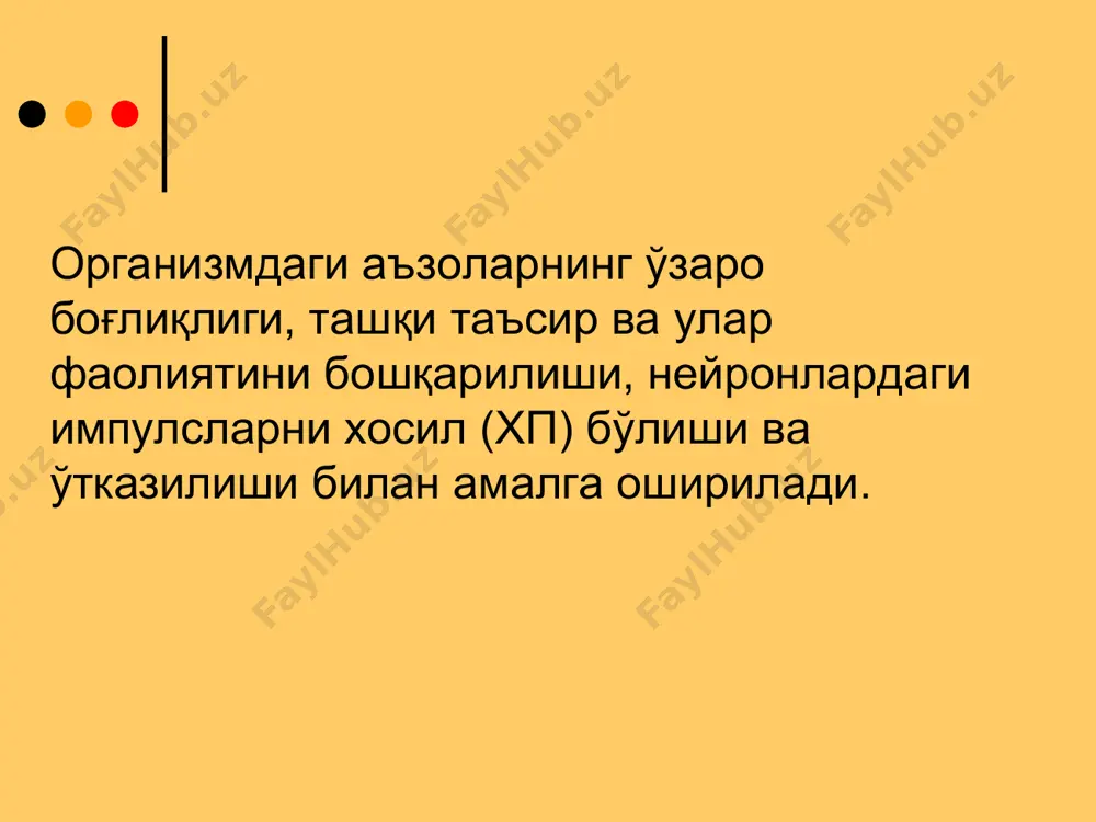 арқланади. 1.тенглаштирувчи – таъсирот кучидан қатъий назар жавоб реакцияси бир хил. 2.ғайритабиий фаза – жавоб таъсирот кучига тескари, яъни кучли таъсиротга кучсиз жавоб. 3.тормозловчи фаза – хар кандай кучли ва кучсиз таъсиротга жавоб кузатилмайди синапслар тузилиши синапс – нерв хужайралари ўртасидаги (ёки нерв ва бошқа қўзғалувчан хужайралар ўртасида) махсус боғланиш бўлиб, у орқали қўзғалиш бир хужайрадан иккинчи хужайрага ўтказилади. синапслар орқали нерв хужайралари маълумотларни тахлил қилувчи нерв тўрини хосил қилади. нерв тизими билан бошқа аъзо ва тўқималарнинг алоқаси ҳам синапслар орқали амалга оширилади. “синапс" термини ч. шеррингтон томонидан киритилиб, “маълумот", “боғланиш", деган маънони англатади. синапслар классификацияси морфологик принцип бўйича синапслар қуйидагиларга бўлинади: • нейро-мускул (нейрон аксони мускул хужайра билан боғланади); • нейро-секретор (нейрон аксони без хужайра билан боғланади); • нейро-нейронал (нейрон аксони бошқа нейрон билан боғланади): • аксо-соматик (нейрон аксони бошқа нейрон танаси билан боғланади), • аксо-аксонал (нейрон аксони бошқа нейрон аксони билан боғланади), • аксо-дендритик (нейрон аксони бошқа нейрон …
