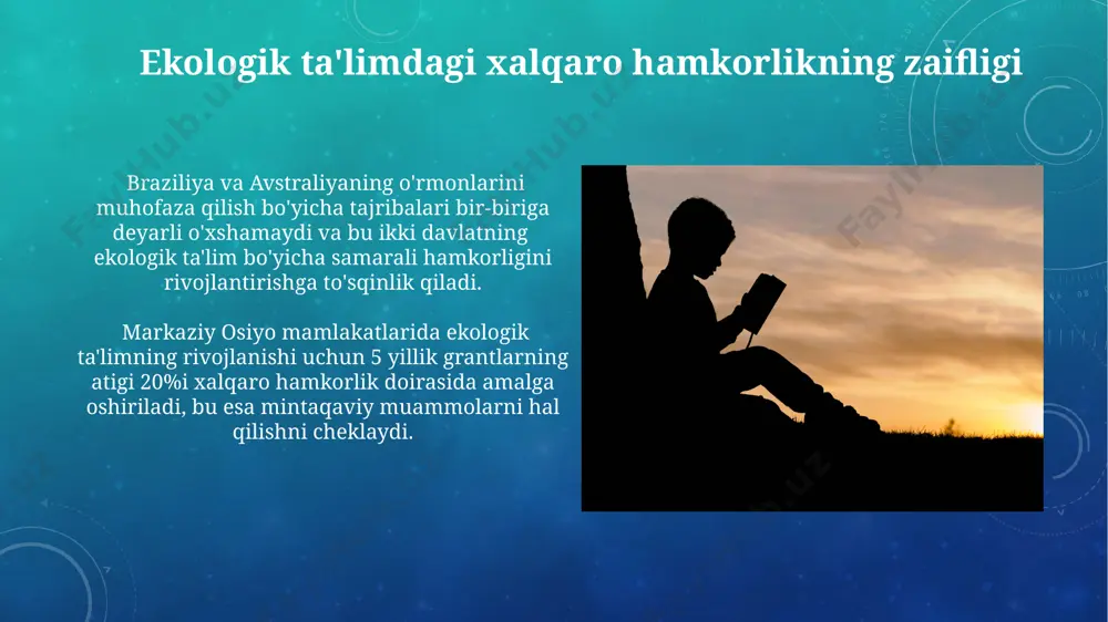 ekologik ta'lim muammolari - Page 4