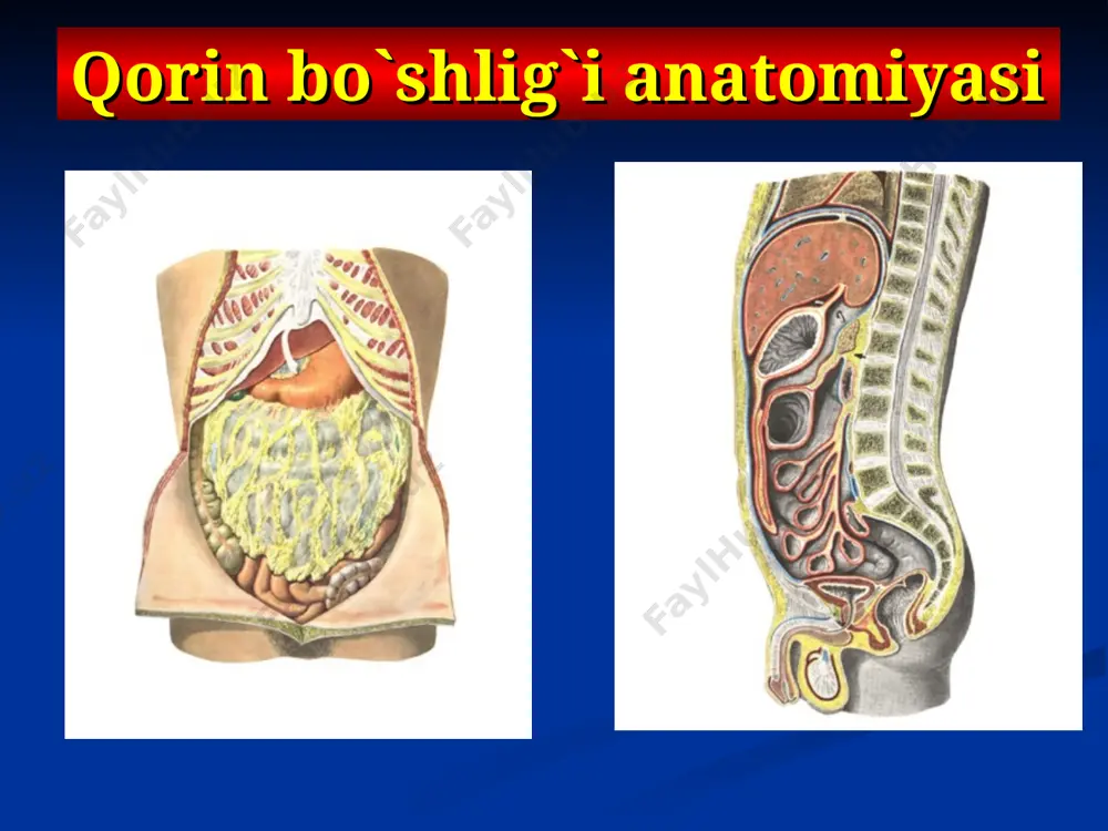 minal kriz o'tkir qorin og'rig'i isitma bilan birgalikda peritoneal tirnash xususiyati belgilari va "o'tkir qorin" ning boshqa belgilari aniqlanadi operatsiya paytida parietal va visseral qorin pardaning alohida joylarining giperemiyasi va oz miqdordagi seroz suyuqlik aniqlanadi. qorin bo`shlig`i obzor rentgenogrammasi klouber kosachalari qorin bo`shlig`i obzor rentgenogrammasi klouber kosachalari diagnostika qorin bo'shlig'ining oddiy rentgenografiyasi bariyning ichak orqali o'tishi (pnevmoperitoneum bilan birgalikda - "galaktika", "guruch donalari" alomati) oshqozon rentgenogrammasi irrigoskopiya zondlash va manometriya fgds laparoskopiya xirurgik davo qorin bo'shlig'i organlarini to'liq qayta ko'rib chiqish bilan yakunlanadigan yopishqoqlikni yo'q qilishga qaratilgan asosiy bosqich. jarrohlik tuzatish yoki yopishtiruvchi jarayon bilan o'zgartirilgan organ yoki uning bir qismini olib tashlash, shuningdek, bir vaqtning o'zida operatsiyalarni bajarish. kasallikning qaytalanishining intraoperativ oldini olish. i bosqichning asosiy manipulyatsiyalari 1. operatsiyadan keyingi chandiqni kesish. bu, qoida tariqasida, eski infektsiyalangan, kapsulalangan ligaturalarni, mikroabstsesslarni olib tashlash uchun bitta blokda amalga oshiriladi, bu esa uxlab yotgan infektsiyani faollashtirish xavfini sezilarli darajada kamaytiradi .2. laparotomiya. …