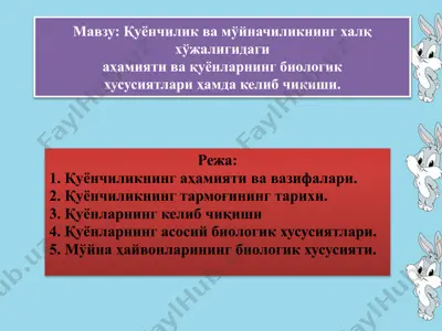 қуёнчилик ва мўйначилик — PPTX