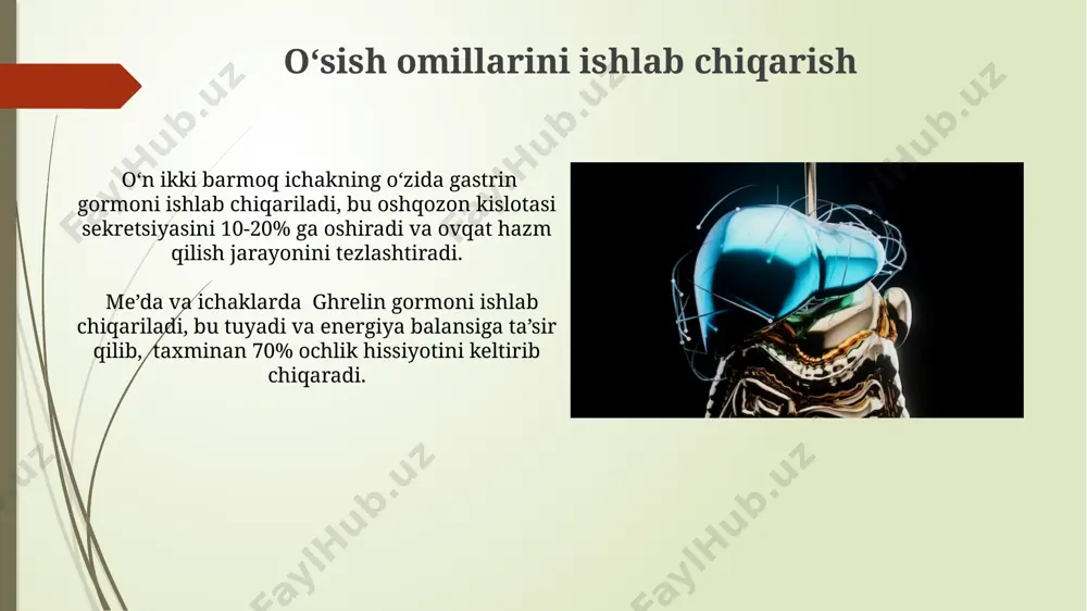 meda ichak traktining hazm qilishga oid bo‘lmagan funksiyalari - Page 5