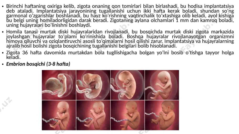 chga to‘g‘ri keladi. homila bosqichi oxirgi va eng uzoq davom etadigan bosqich bo‘lib, to‘qqizinchi haftasidan boshlab, tug‘ruq bilan tugallanadi. bu vaqtda homilaning tana o‘lchamlari kattalashadi va organizm tizimlari faoliyat yurita boshlaydi. 4 oylikdan homilaning og‘irligi 113,4 grammdan 226,8 grammgacha yetadi. oxirgi 5 oyda homilaning og‘irligi 1984,5 grammdan 2268 grammgacha o‘lchamlari kattalashib borishini ko‘rish mumkin. 1. tuxumdon va urug‘don differensiatsiyasi. 2. qon tomir tizimining faoliyati. 3. homila harakatining onaga sezilishi. 4. homila boshida soch qoplanishining hosil bolishi. 5. solish va yutish faoliyati. 6. bosh miyaning maxsus faoliyati. 7. homilaning hayotchan davri. 8. oglrligini tezda ko‘paytirib olishi. 9. tug‘ruq. bu davrda organizm uchun muhim bolgan nerv, nafas olish va ovqat hazm qilish kabi organlarning shakllanishi tugallanadi. bu davrning eng muhim hodisalari quyidagilardan iborat. uruglanishdan 5—6 oydan so‘ng homilaning qoshlari, kipriklari va sochlari paydo boladi. embrional davrning oxiriga borib, erkak embrionda urug‘don, qiz embrionda tuxumdonlar rivojlanadi. uchinchi oyda urug‘donda tashqi jinsiy belgilar rivojlanishiga …
