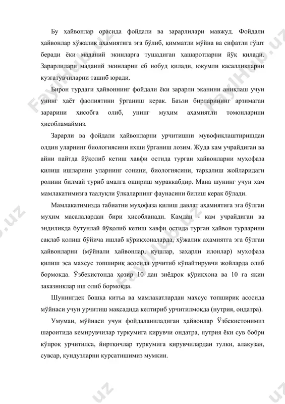 ракулчилик) ва саноат корхоналари ташкил этади. лекин республикамизнинг ҳамма жойида табиий, иқтисодий шароит манбалари, аҳолини зичлиги кабилар бир хил эмас. чунончи фаргона водийсида 1 км2 га 170 га яқин киши тўғри келса, қорақолпоғистонда 10 кишига ҳам тўғри келмайди, шунингдек ҳамма жойда бир хил ишларни ташкил этиш мумкин эмас. ўзбекистон худуди марказий осиёнинг хам кок ўртасида жойлашган, ер куррасининг муҳим аҳамиятга молик бўлган зоогеографик улкасидир. ўзбекистон улкасида 50 дан зиёдрок овланадиган ҳайвон турлари ҳисобга олинган. буларнинг энг зарур мўйнабоп турларини қафасларда урчитиш асосида катта самарадорликка эришиш мумкин. бундан ташқари ўзбекистонда йил сайин чўл, тоғ олди ва қуриқ ер, дарё атрофи чакалакзорларни қишлоқ хўжалик ерларини ўзлаштириб очиш натижасида ёввойи мўйна ҳайвонлари камайиб кетмокда. бу ҳолат ҳам уларни қафаслардан ёки ярим эркин ҳолатда урчитишни тақоза этади. бу масалада ҳозиргача қорақолпогистон жумхурияти, бухоро, тошкент, сирдарё, қашқадарё вилоятларидаги ишлар намуналидир (ондатра, норка, нутрия). мамлакатимиз худудидаги фауна (ҳайвонот) олами кучли ҳимояга мухтож. чунки ҳозиргача тартибсиз овланиш, …