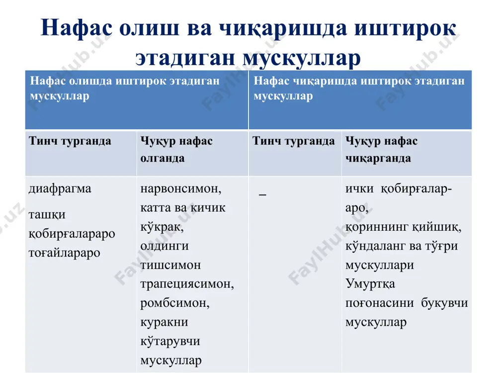 naftizimii fizikologiyasi - Page 5