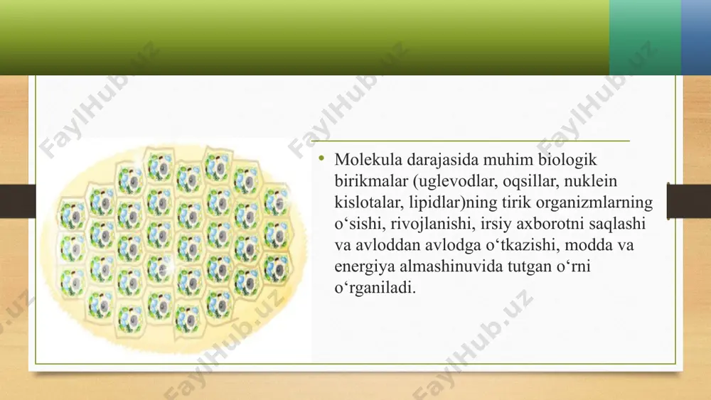 hayotning molekula darajasi - Page 4