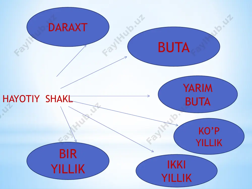 o'simliklarning hayotiy shakllari - Page 2