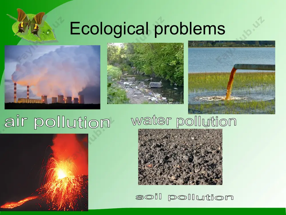 global ecological problems - Page 4