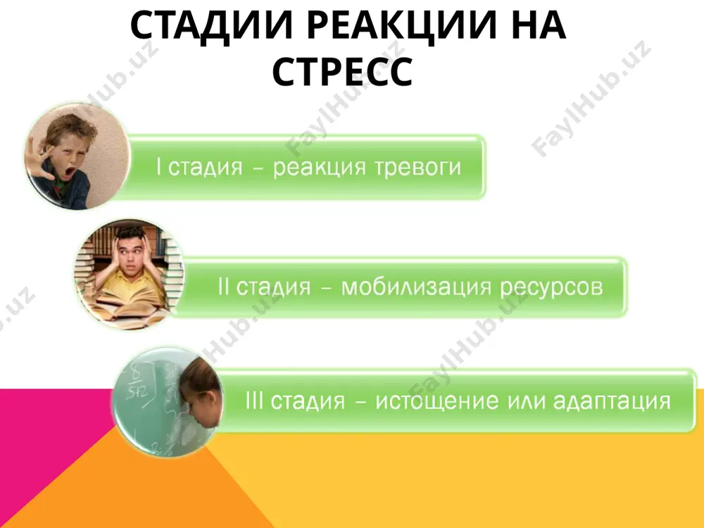 как избавиться от стрессовых ситуаций - Page 5