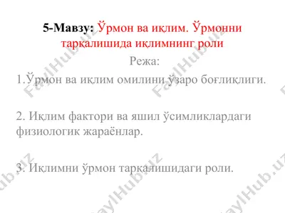 ўрмон ва иқлим. ўрмонни тарқалишида иқлимнинг роли — PPT