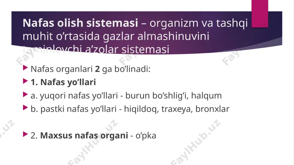 iya chuquri o pastda: cavitas oris - og’iz bo’shlig’i o yonda: sinus maxillaris - yuqori jag’ sinusi o yuqori yonda: orbita - ko’z kosasi o orqada: nasopharynx - burun-halqum burun bo’shlig’i devorlari 4 ta devori bor: paries superior paries inferior paries lateralis paries medialis image1.jpeg image2.emf image3.emf image4.emf /docprops/thumbnail.jpeg