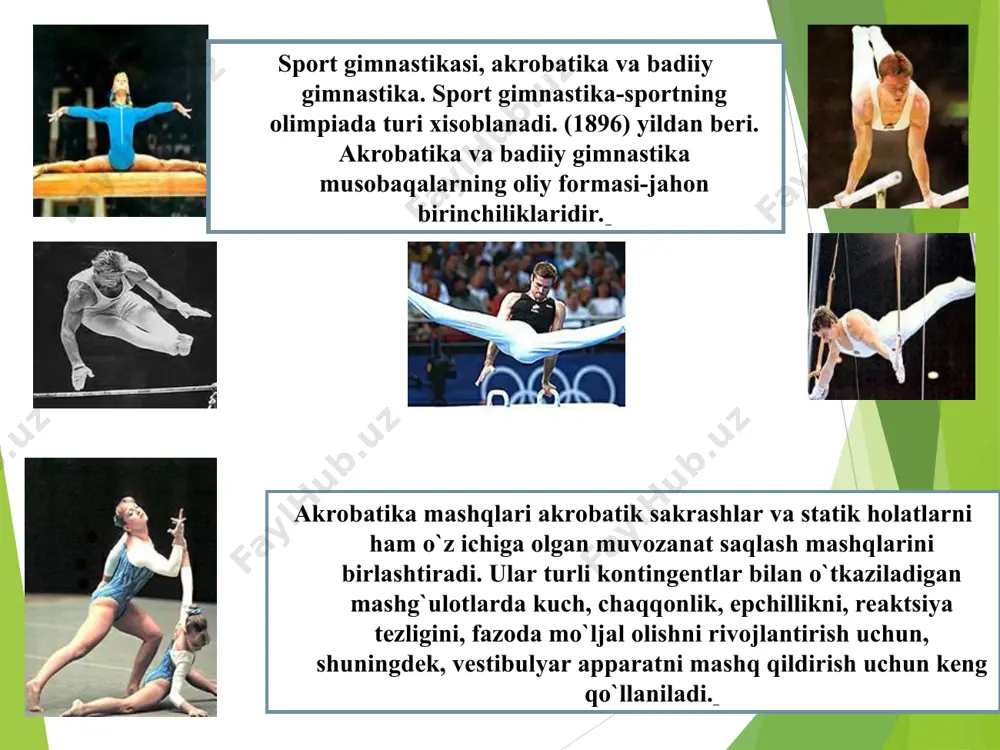 gimnastikaning rivojlanish tarixi - Page 5