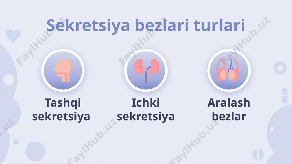 sekretsiya bezlari - Page 3