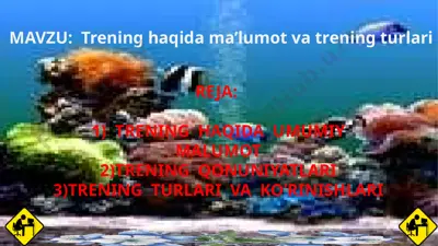 trening haqida ma’lumot va trening turlari — PPTX