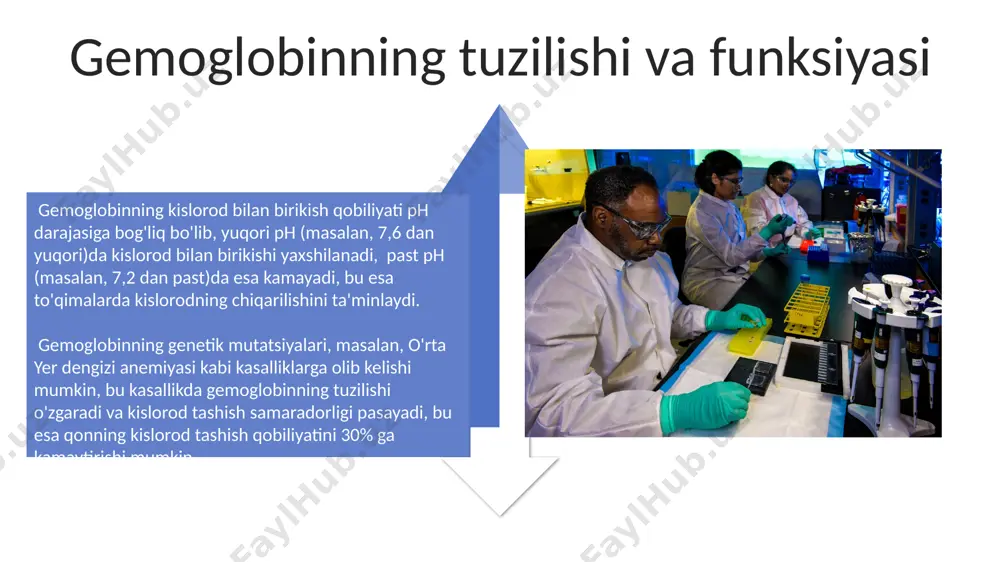 isbatan 90% dan yuqori, bu esa qon quyish jarayonida muhim ahamiyatga ega. leykotsitlarning turlari va xususiyatlari neytrofillar, asosan, bakteriyalar va qo'ziqorinlarga qarshi kurashishda faol bo'lib, rossiyada o'tkazilgan tadqiqotlar ularning fagotsitoz jarayonidagi rolini tasdiqlaydi. ularning yadrosi ko'p bo'lakli bo'ladi. leykotsitlarning 5 turi mavjud: neytrofillar (60-70%), limfotsitlar (20-30%), monotsitlar (3-8%), eozinofillar (2-4%) va bazofillar (0.5-1%), ularning nisbati qon tarkibida infektsiyalar yoki kasalliklarga bog'liq holda o'zgaradi. qonning yoshiga bog'liq o'zgarishlari qon plazmasidagi oqsil tarkibi 65 yoshdan keyin sezilarli darajada o'zgaradi, albumin darajasi pasayadi, immunoglobulinlar esa toshkent shahrida kuzatilgan ma'lumotlarga ko'ra, ko'tariladi, bu esa immunitetning zaiflashishiga olib kelishi mumkin. 50 yoshdan keyin eritrotsitlarning o'rtacha hajmi (mcv) 80-90 fl dan 90-100 fl gacha o'zgaradi, bu esa buxoro shahrida o'tkazilgan tadqiqotlarga ko'ra, anemiya xavfini oshirishi mumkin. qonning umumiy morfologiyasi qon hujayralarining 99% ni eritrotsitlar tashkil etadi va ularning soni 1 mm³ qonda erkaklarda 4,5-5,5 mln, ayollarda esa 4,0-5,0 mln atrofida bo'ladi, bu samarqanddagi gematologiya markazi ma'lumotlariga …
