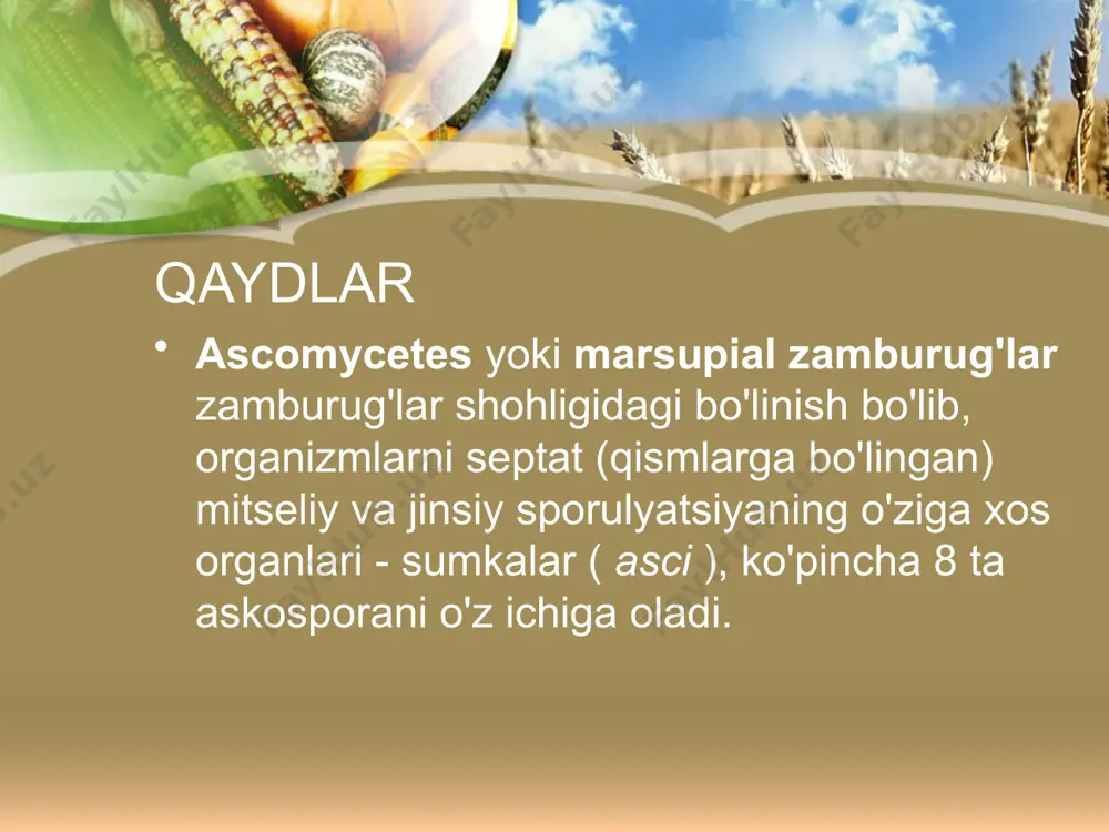 a (andalusiya) ma'lum bo'lgan, u erda uning xususiyatlari tufayli kuchli sharob ishlab chiqarilgan - sherri (uzoq qarish bilan 24% gacha, armanistonda ham sherri achitqilari topilgan). gruziya, qrim va boshqalar sherri achitqilarlari ham ba'zi kuchli pivo ishlab chiqarishda ishlatiladi. paylash pivo tayyorlashda xom ashyo sifatida don (ko'pincha arpa) ishlatiladi, tarkibida juda ko'p kraxmal mavjud, ammo achitqilar bilan fermentlanadigan ozgina shakar. shuning uchun kraxmal fermentatsiyadan oldin gidrolizlanadi. buning uchun unib chiqish vaqtida donning o'zi tomonidan hosil bo'lgan amilazalar qo'llaniladi. unib chiqqan arpa solod deb ataladi. malt maydalanadi, suv bilan aralashtiriladi va qaynatiladi, so'ngra achitqilar bilan fermentlanadi. qaydlar amilaza kraxmalni oligosakkaridlarga parchalaydigan va ovqat hazm qilish fermenti bo'lgan glikosil gidrolaza fermentidir. kvas noni kvass shunga o'xshash sxema bo'yicha ishlab chiqariladi, ammo arpadan tashqari, javdar malti ham keng qo'llaniladi. unga un va shakar qo'shiladi, shundan so'ng aralashma suv bilan to'ldiriladi va qaynatiladi va qaynatiladi. kvas pivo ishlab chiqarish va pivo ishlab chiqarish o'rtasidagi eng …
