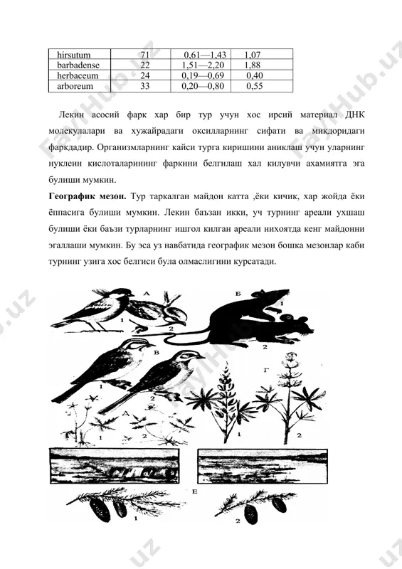 хамиятга эга булиши мумкин. географик мезон. тур таркалган майдон катта ,ёки кичик, хар жойда ёки ёппасига булиши мумкин. лекин баъзан икки, уч турнинг ареали ухшаш булиши ёки баъзи турларнинг ишгол килган ареали нихоятда кенг майдонни эгаллаши мумкин. бу эса уз навбатида географик мезон бошка мезонлар каби турнинг узига хос белгиси була олмаслигини курсатади. 139-расм. тур мезонлари. а- морфологик: 1- катта читтак; 2- лазаревна читтаги; б- генетик хар хил сондаги хромосомага эга каламушлар тури. в- физиология 1- дехкон чумчуги; 2-бог дехкон чумчуги; г-биокимёвий: 1- куп баргли люпин; 2- сарик люпин. д-экологик: 1-захарли айиктовон; 2-урмаловчи айиктовон. е- географик: дала, нам утлокзор; 1- европа коракарагайи, 2- сибирь коракарагайи. экологик мезон. мазкур мезонда хар бир турга кирувчи организмларнинг конкрет мухит шароитида яшаши, унга мослашганлигини тушуниш лозим. масалан, далалар, утлокзорларда захарли айиктовон, сернам ерларда судралувчи айиктовон, дарс, кулмак четларида, боткокликларда ачиштирадиган айиктовон турлари учрайди. генетик мезон. бу мезонда хар бир турга хос хромосомалар йигиндиси, тузилиши …