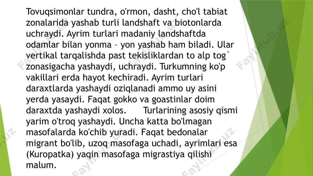 tovuqsimonlar, asosiy turlarining hayoti - Page 5