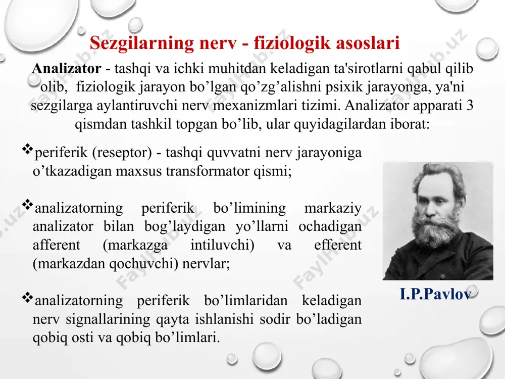 onlar tomonidan rang va yoruqlikni sezish ko’rish sezgilari orqali amalga oshadi va seziladigan ranglar xromatik va axromatik turlarga bo’linadi. odatda oq rang, qora rang, kulrang va ularning turlicha ko’rinishlari axromatik ranglar deb nomlanadi. psixofiziologik qonunga ko’ra yoruqlik nurlari uchburchak shisha prizma orqali o’tib singanda hosil bo’ladigan rang xromatik ranglar deb atalib, ularga kamalak ranglar, ya'ni qizil, zarg’aldoq, sariq, yashil, havo rang, ko’k, binafsha tuslarini qamrab oladi. ko’rish sezgilari inson ko’zining to’r pardasida 130 millionga yaqin tayoqcha va 7 millionga yaqin kolbacha bor deb taxmin qilinadi. kolbachalar yordami bilan xromatik, ya’ni kunduzgi ranglar ko’riladi. tayoqchalar yoruqlikni yaxshi sezuvchan bo’lib, xira va qorong’u paytlarda o’z funksiyasini bajaradi, axromatik ranglarni aks ettiradi. uch rangli sezgi nazariyasi odam ko’zi ranglarning taxminan, 380 millimikrondan 780 millimikrongacha uzunlikdagi to’lqinlarning ta’sirini sezadi. uch rangli sezgi nazariyasining asosiy qoidalari 1756-yilda m.v.lomonosov tomonidan bayon qilingan bo’lsa, 1856-yildan keyin nemis fizigi g.gelmgols tomonidan uni to’la isbotlab berilgan. ushbu nazariyaga binoan …