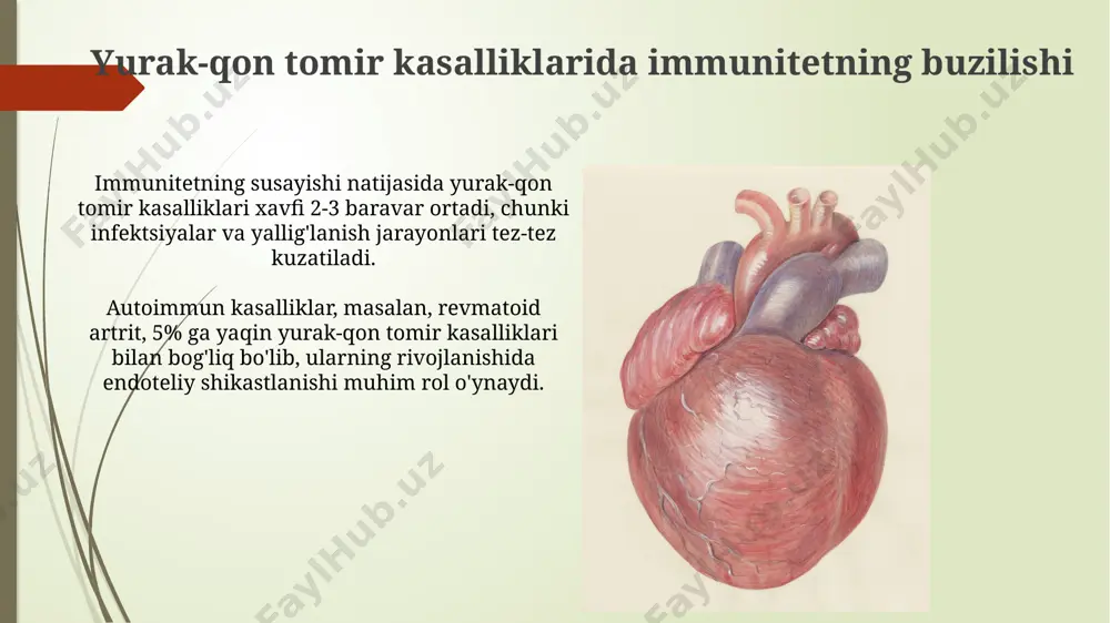 yurak qon tomirlar sistemasi immun ximoya - Page 5