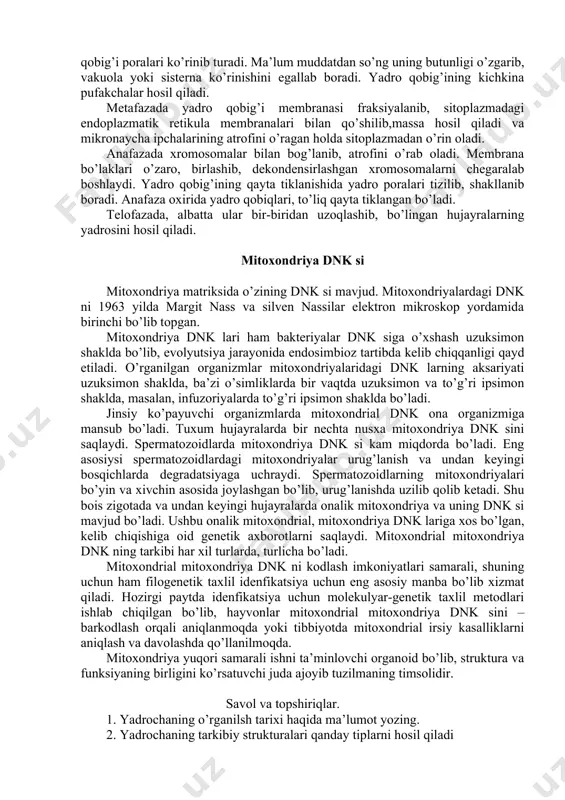 ni hosil qiladi. yetigan ribosomalar, oqsil sintezida poliribosomalarni tashkil qiladi. yadrochaning mitoz davridagi faoliyati yuqorida qayd qilinganidek yadroning, jumladan, yadrochaning faoliyati, hujayraning interfaza davrida o’ziga xos, mitoz davrida esa, mitotik xromosomalarning shakllanishida ham katta ahamiyat kasb etadi. yorug’lik mikroskoplari yordamida o’rganilganda interfaza davrida yadrochalarni ko’rish mumkin, lekin mitoz davrida ko’rib bo’lmaydi. yadrocha strukturasi mitozning boshlanishida ya’ni profazada erib ketgandek tarqalib belgilaydi. bu vaqtda xromosoma kondensatsiyasi boshlanadi. profazaning oxirida bir-biriga jipslashib, metafazada xromosomalar tarkibidan joy olib, xromosomalarni shakllantiradi va telofazada xromosomalarning dekondensirlanish jarayonida yangi yangi qiz yadrochalar paydo bo’la boshlaydi. yadrocha tarkibidagi ba’zi komponentlar sitoplazmaga chiqib ketishi ham mumkin. yadrochaning eng asosiy komponenti bo’lgan donador va fibrilyar komponentlar xromosomalarning shakllanishida, xromosomalarning periferik materiali hisoblanadi. mitotik xromosomalarning periferik materialini immunositokimyoviy metod yordamida o’rganilgan. yadrocha tarkibidagi fibrilyar markaz komponentlaridan, xromosomaning sentromera qismi, ya’ni xromosomani shakllantiruvchi, tarqoq donadorkomponentlari va zich donador-fibrilyar komponentlaridan xromosomaning periferik qismlari shakllanadi. mitotik xromosomalarning asosiy funksiyasi irsiy materialni ona hujayradan …