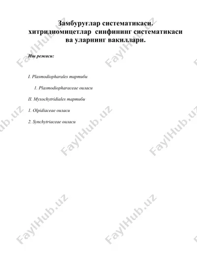 замбуруғлар систематикаси. хитридиомицетлар синфининг систематикаси ва уларнинг вакиллари. — DOC