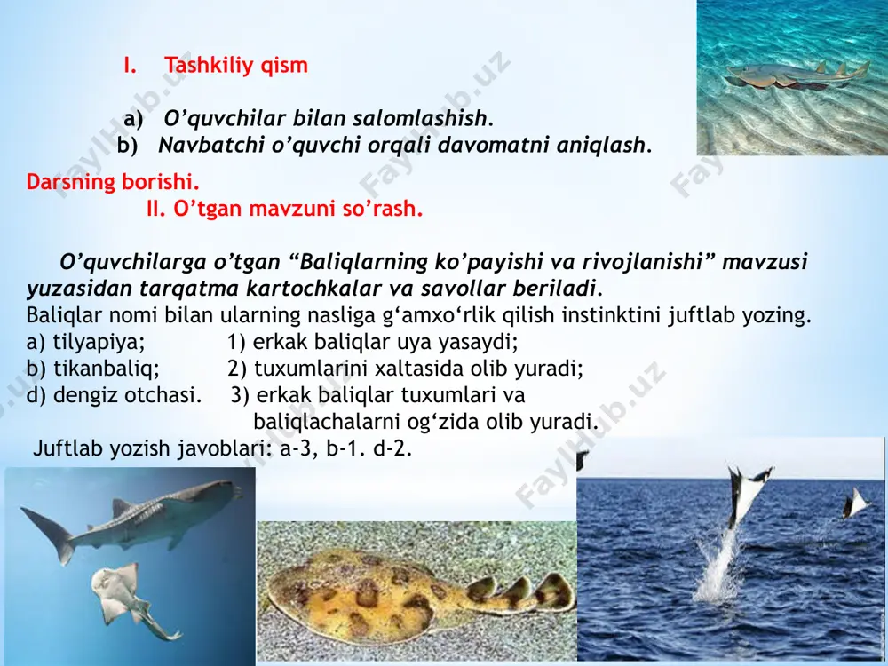 ga oladi. akulalar turkumi. akulalar ancha yirik, tanasi torpedasimon, dum suzgichi juda kuchli rivojlangan. terisini qoplab turgan tangachalari haqiqiy suyakli baliqlarnikidan batamom farq qiladi. ularning tangachalari qalin va yirik plastinkalardan iborat bo‘lib, har qaysi tangacha ustida sirtdan emal bilan qoplangan tishsimon o‘simtasi bo‘ladi. akula jag‘ida bunday o‘simtalar tishlarga aylanadi. barcha umurtqali hayvonlar, shu jumladan, odamlarning tishlari ham akulalarnikiga o‘xshash tuzilgan. akulalar juda serharakat yirtqich baliqlar bo‘lib, ancha yirik hayvonlarga, shu jumladan, cho‘milayotgan odamga ham hujum qiladi. ko‘pchilik akulalar tirik tug‘adi, ba’zi turlari tuxum qo‘yib ko‘payadi. akulalarning kattaligi har xil bo‘lgan 250 turi ma’lum. ular orasida uzunligi 40–45 sm bo‘lgan tikanli akula eng kichigi, uzunligi 15 m keladigan gigant akula yoki 18 m ga yetadigan kit akulasi eng yirik hisoblanadi. lekin bunday bahaybat akulalarning tishlari juda mayda bo‘lib, ular mayda qisqichbaqasimonlar va baliqlar bilan oziqlanadi. skatlar turkumi. skatlarning tanasi yassi, rombsimon yoki disksimon bo‘lib, suv tubida yashashga moslashgan. dum suzgichi ingichka …