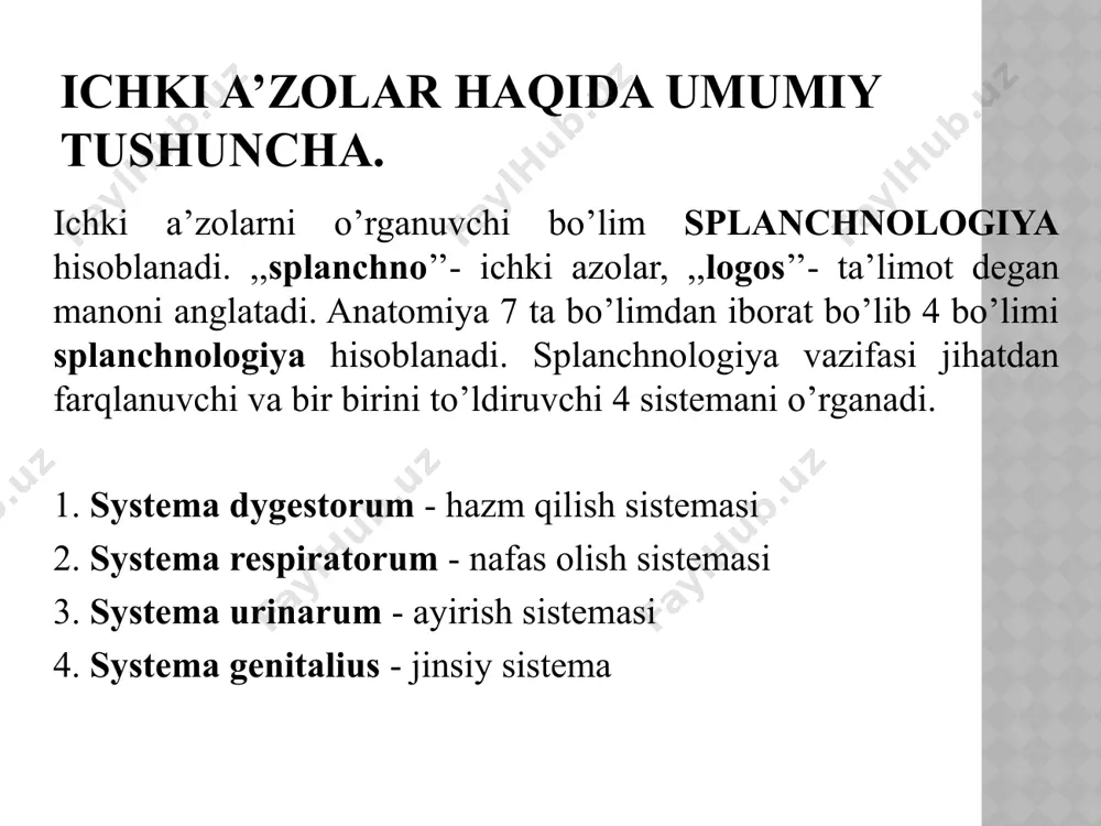 bezi-поджелудочная железа hepar - jigar-печень hazm yo’llarining devori 4 qavatdan iborat: 1. shilliq parda - tunica mucosa. 2. shilliq osti pardasi - tunica submucosa. 3. mushak parda - tunica muscularis. 4. tashqi adventitcial yoki seroz parda - tunica adventitia yoki tunica serosa. shilliq parda o’z navbatida 3 ta: epiteliy, biriktiruvchi to’qimadan iborat xususiy qatlam va shilliq qavatning muskul qavatlaridan iborat. epiteliy-ko’p qavatli yassi, bir qavatli slindrsimon, bir qavatli slindrsimon jiyakli epiteliydan iborat. (hazm trakti) xususiy plastinkada-limfoid folikulalar, bezlar, qon tomir va nervlar joylashgan. muskul plastinkasi- xususiy qatlam va shilliq osti qavati orasida yotadi. mushak plastinkasi 2-3 qavatdan iborat silliq mushak hu-jayralaridan tuzilgan. qisqarsa ichakda burma hosil qiladi. shilliq osti pardasi - (tela submucosae) siyrak tolali shakllanmagan biriktiruvchi to’qimadan iborat. bu qavat ichakning harakatchanligini ta’minlab, ichak yuzasining shaklini belgilaydi. shilliq osti pardasida meysner nerv chigali ham yotadi. qizilo’ngach va o’n ikki barmoq ichakda shilliq osti pardada xususiy bezlar yotadi. u yo‘q …