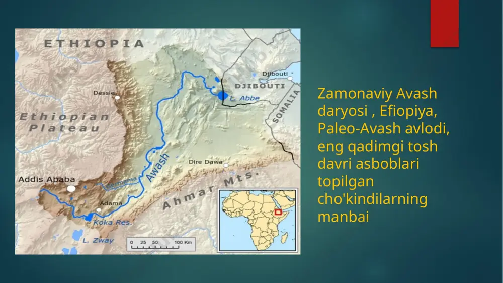 asaladi. ashel davrining ilk bosqichlari qo’lbolta tosh qurollarining paydo bo’lishi bilan xarakterlanadi. qo’lbolta – ashel davriga xos bo’lgan ibtidoiy davrning makrolit tosh quroli. qo’l bolta olduvayning so’ngi davrida kashf qilingan. uning eng qadimgi namunalari sharqiy afrika hududidan topilgan. (1,5—1,0 mln. y). ashell davri kelib, qo’l bolta homo erectus odamlarining asosiy quroliga aylangan. qo’lbolta ibtidoiy odamlarning qo’l davomiyligini ta’minlab, uchli, qirrali, qattiq bo’lib, go’sht va o’simlik mahsulotlarini maydalash maqsadida foydalanilgan. ashel davrining o’rtalaridan boshlab tosh qurollariga zamonaviy arxeologiya fan tilida levallua (parij yaqinidagi levallua-perre nomidan olingan) texnikasi, deb ataladigan usulda ishlov berish an’anasi vujudga keladi. toshga ishlov berishning bunday kremenli toshning atrofidagi tabiiy qobig’i urib uchirib olingandan so’ng hosil bo’lgan gardishsimon (toshbaqa po’stiga o’xshash) shaklli nukleusdan ko’chirib olinadigan tosh bo’laklari va ularning mehat quroli sifatida ishlanish usuliga nisbatan levallua texnikasi, deb ataladi. levallua texnikasi muste davrida rivojlanadi va ayrim janubiy o’lkalarda so’nggi paleolit davrida ham saqlanib qoladi. bunday nukleuslarning konturi ilgarigiga …