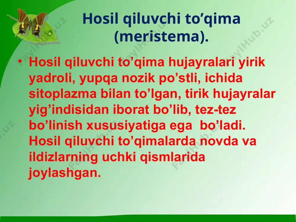 o'simlik to'qimalari dars ishlanmasi - Page 5