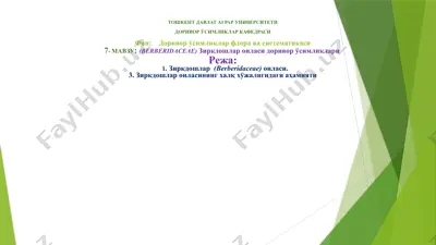 zirk (berberis iritegerrima bge.) — PPTX