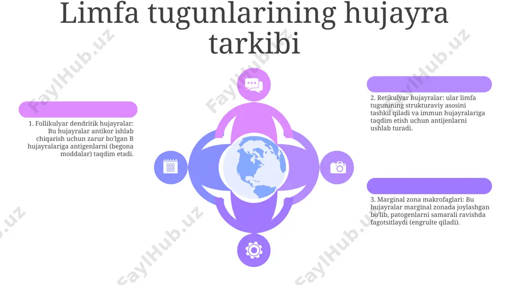 limfa tugunlari. limfa tugunlarining tuzilishi va hujayraviy tarkibi - Page 5