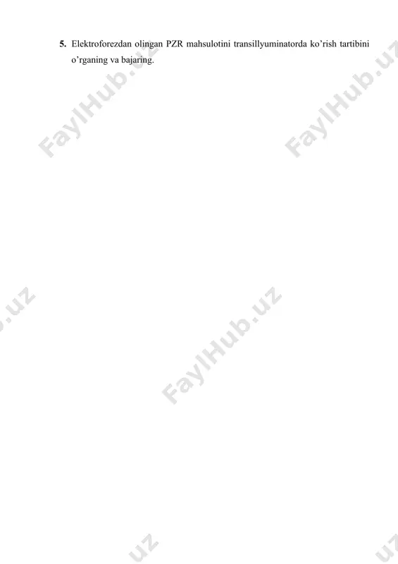 transillyuminator hamda gel-xujjatlashtiruvchi tizim (gel documentation system) - Page 5