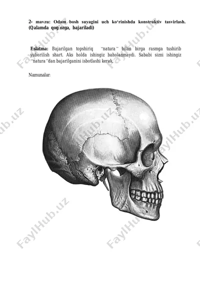 odam bosh suyagini uch ko‘rinishda konstruktiv tasvirlash — PDF