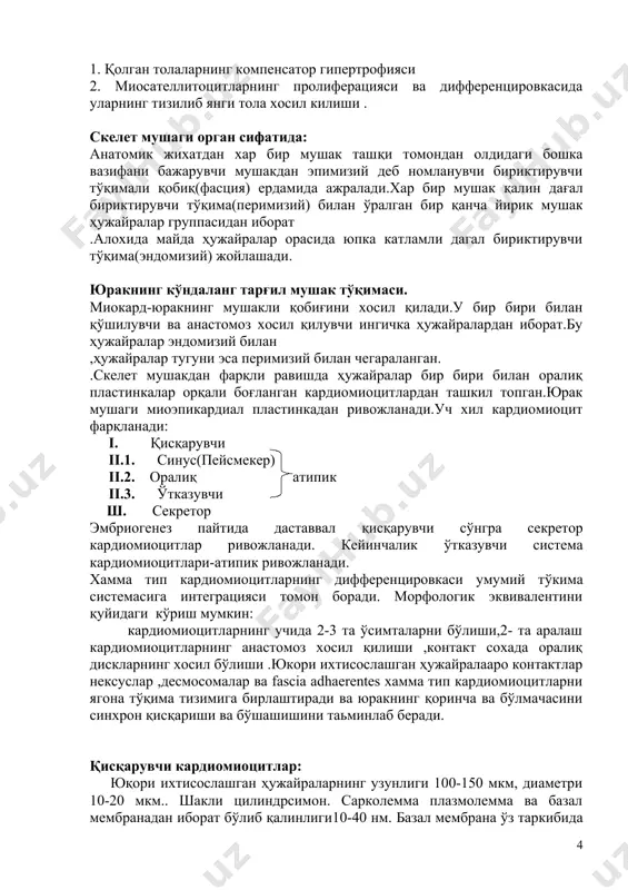 логик ва репаратив регенерация мушак ўсаетганда организимни ўсиши динамикасида митотик бўлинишда хосил бўлган ва дифференциаланаетган ҳужайралар миосимпластларнинг охирига тизилади . мушак жарохатланганидан сўнг қандайдир масофада толанинг охирги қисми парчаланади ва макрофаглар томонидан сурилади . ҳужайранинг тўлик тикланиши икки йул асосида амалга оширилади. 1. қолган толаларнинг компенсатор гипертрофияси 2. миосателлитоцитларнинг пролиферацияси ва дифференцировкасида уларнинг тизилиб янги тола хосил килиши . скелет мушаги орган сифатида: анатомик жихатдан хар бир мушак ташқи томондан олдидаги бошка вазифани бажарувчи мушакдан эпимизий деб номланувчи бириктирувчи тўқимали қобиқ(фасция) ердамида ажралади.хар бир мушак қалин дағал бириктирувчи тўқима(перимизий) билан ўралган бир қанча йирик мушак ҳужайралар группасидан иборат .алохида майда ҳужайралар орасида юпка катламли дагал бириктирувчи тўқима(эндомизий) жойлашади. юракнинг кўндаланг тарғил мушак тўқимаси. миокард-юракнинг мушакли қобиғини хосил қилади.у бир бири билан қўшилувчи ва анастомоз хосил қилувчи ингичка ҳужайралардан иборат.бу ҳужайралар эндомизий билан ,ҳужайралар тугуни эса перимизий билан чегараланган. .скелет мушакдан фарқли равишда ҳужайралар бир бири билан оралиқ пластинкалар орқали боғланган …