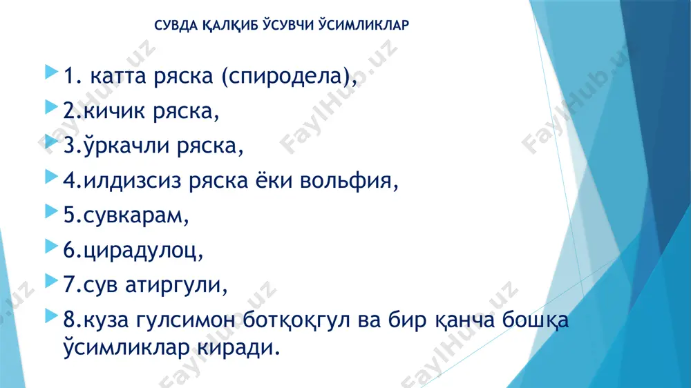 вақти июль, август ойларига туғри келади. кўп йиллик илмий тажрибалар рясканинг илдизи баргпоянинг сув юзида мувозанатини тутиб туриш би­лан биргаликда, албатта, ҳақиқий илдиз вазифасини бажаришини, яъни сувдан минерал ва органик озиқ моддаларни ўсимликка етказиб беришини кўрсатди. чунки ряска водопровод сувида ўстирилганида илдизининг узунлиги 8-10 см бўлганлиги, органо-минерал озуқа муқитида органик модданинг миқдори 1-1,5 г/л бўлганида илдизининг узунлиги 3-4 см, органик модданинг миқдори шу муҳитда 2-3 г/л бўлганида илдизининг узунлиги 0,3—0,6 см бўлганлиги кузатилди. рясканинг барча турлари кўллар, ҳовузлар, зовурлар, ботқоқликлар, дарё ва бошқа секин оқадиган сув манбаларида ўсиб, сувнинг усти ва ўрта қатламида ялпи яшил гилам ҳосил қиладилар. сувда қалқиб ўсувчи ряскадошлар оиласининг вакиллари 1. катта ряска. 2. кичик ряска. 3. уркачли ряска. 4. учпаллали ряска. 5. сув атиргули. 6. ричча- карп. 7. сув ёнғоғи: а) меваси. 8. сувкузагул. 9. кдоқулоқ.10. сариқ нилуфар. 11. сувкарам. сувга ярим ботиб ўсувчи ўсимликлар оддий қамиш кулқамиши туганакли қамиш шамак сувга ярим ботиб ўсувчи …