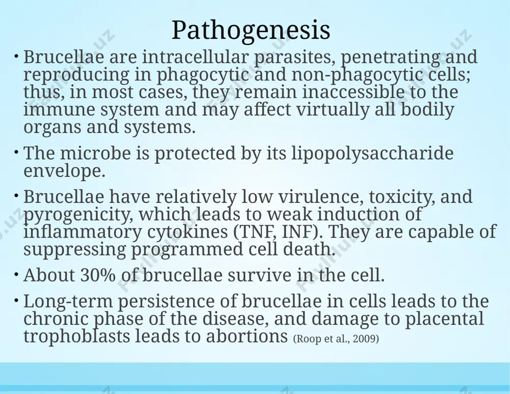 istan (ruz) ministry of health order no. 650 on brucellosis, 1996 antibiotic therapy regimen: streptomycin (0.25 x 2 times a day im) + levomycetin (0.5 x 4 times a day per os) or tetracycline, 10-day course. 4–5 day break then repeat the course, but instead of streptomycin, another 10-day course of tetracycline primary principles of etiotropic treatment of brucellosis use of antibiotics capable of penetrating macrophages use of antibiotics that can be active in an acidic environment use of a combination of several antibiotics need to take antibiotics for a prolonged period preference for inexpensive antibiotics inability to determine the antibiotic sensitivity of a culture of the pathogen isolated from the patient, due to the length of the culture-isolation process papas g et al. // expert opinion pharmacother, 2005, 6 (1) evaluation of the effectiveness of antibiotic therapy for brucellosis papas g et al. // expert opinion pharmacother, 2005, 6 …