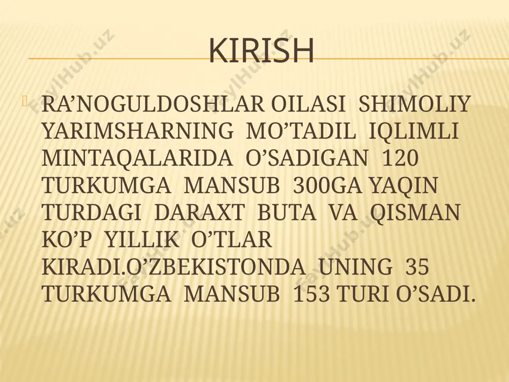 ra’noguldoshlar oilasining asosiy turkum va turlari - Page 3