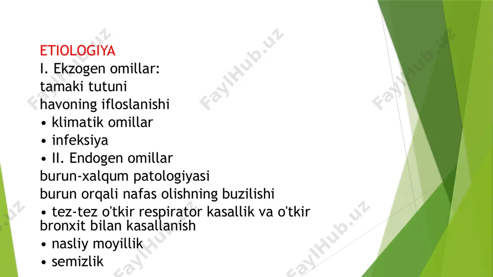 prezentatsiya "bronxit" - Page 5