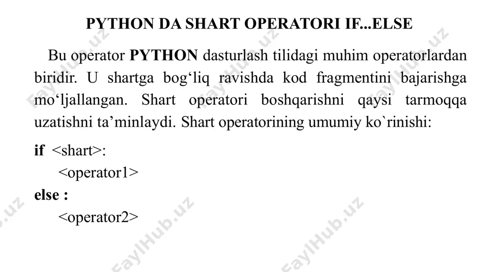 python dastar operatori if...else - Page 3