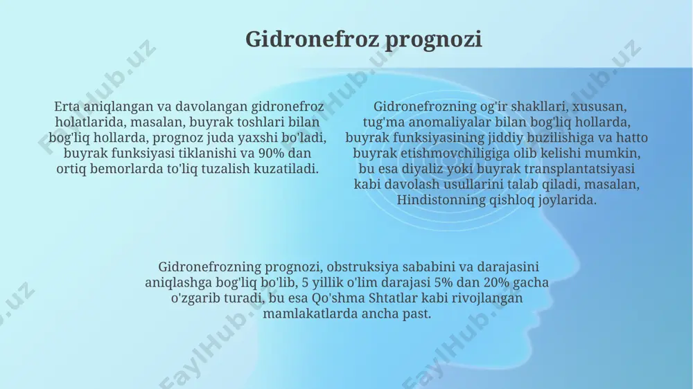 gidronefroz - Page 4