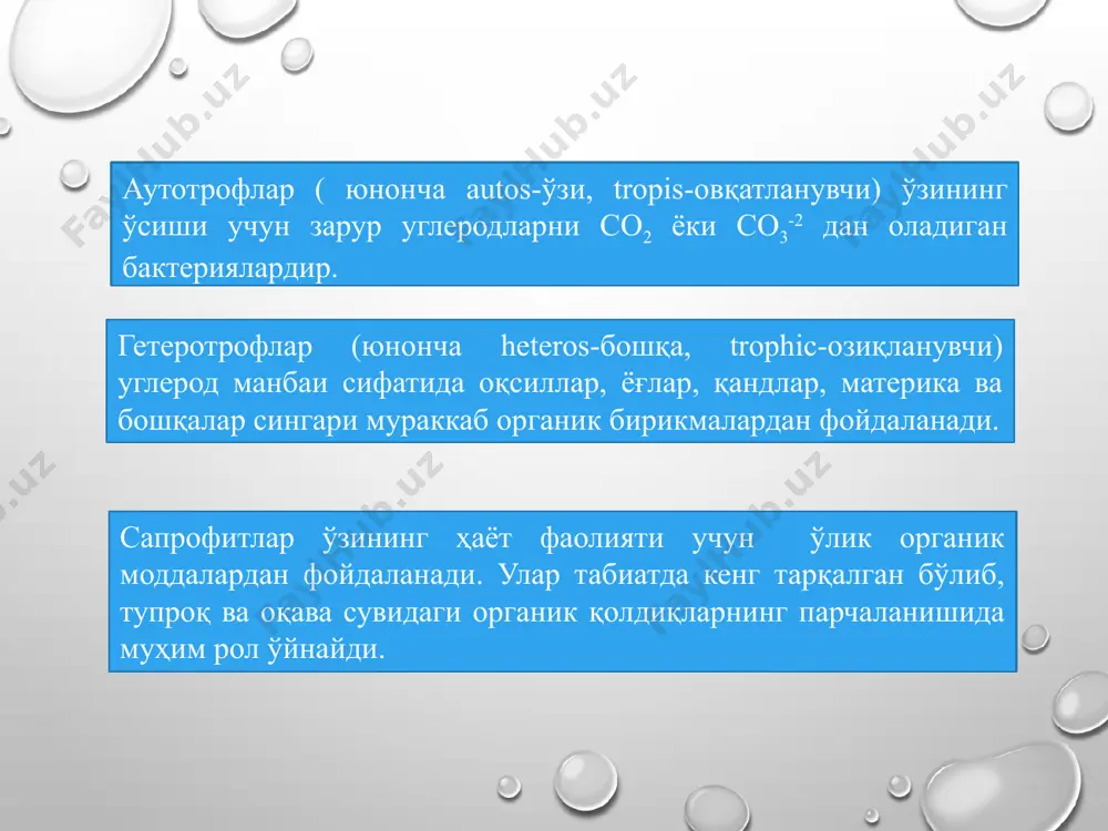 avlodi, 2006, 298 b 3. x.atabaeva va boshq - o‘simlikshunoslik - t.mexnat, 2000. 4. p.p. vavilov. -rasteniyevodstvo-m.kolos,1986 5. o.mirzaev, t. xudoyberganov-em-xashak yetishtirish andijon, 2003 image10.png image11.png image12.jpeg image13.jpeg image14.jpeg image15.jpeg image16.jpeg image17.jpeg image18.jpeg image19.jpeg image20.png image1.jpeg image2.jpeg image3.jpeg image4.jpeg image5.jpeg image6.jpeg image7.jpeg image8.jpeg image9.png /docprops/thumbnail.jpeg