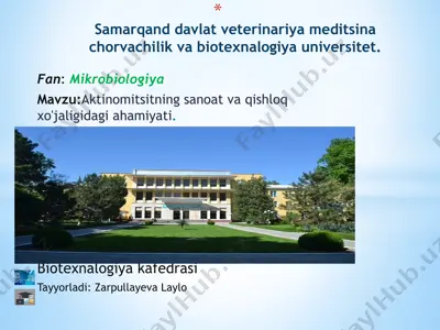 aktinomitsitlar — PPTX