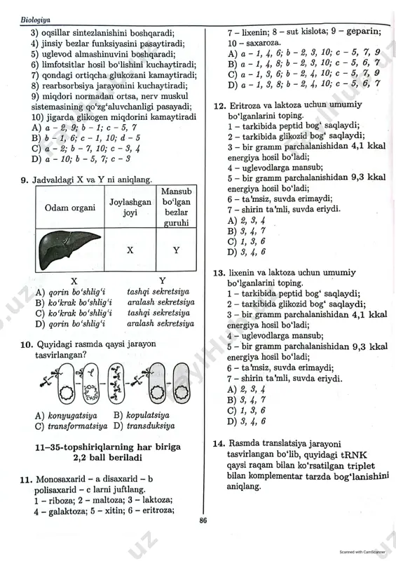 milly sertifikat namunaviy test topshiriglari - Page 2