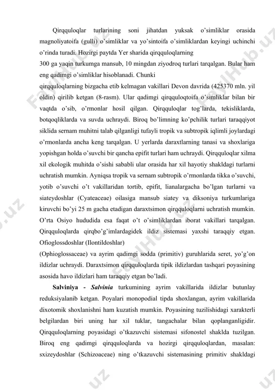 unlay reduksiyalanib ketgan. poyalari monopodial tipda shoxlangan, ayrim vakillarida dixotomik shoxlanishni ham kuzatish mumkin. poyasining tuzilishidagi xarakterli belgilardan biri uning har xil tuklar, tangachalar bilan qoplanganligidir. qirqquloqlarning poyasidagi o’tkazuvchi sistemasi sifonostel shaklda tuzilgan. biroq eng qadimgi qirqquloqlarda va hozirgi qirqquloqlardan, masalan: sxizeydoshlar (schizoaceae) ning o’tkazuvchi sistemasining primitiv shakldagi protostel holda bo’lishi, ularning riniofitlar bilan filogenetik bog’liqligidan darak beradi. ularga xos belgilardan yana biri barglarining (vayalarining) yirik bo’lishi va ularda o’sish nuqtasining poyadagidek uchki qismida joylashganligidir. bu jihatlardan ular plauntoifalardan va qirqbo’g’imtoifalardan farq qo’shadi. qirqquloqlar shakli va ichki tuzilishi jihatidan ham xilma-xil bo’ladi. qirqquloqlarning ko’pchiligida barg ikkita funksiyani, ya’ni ayrimlarida fotosintez va spora xosil qilish vazifasini bajarsa, boshqalarida spora hosil qiluvchi barglari xlorofillni yo’qotib, faqat jinssiz ko’payish vazifasini o’taydi (masalan, salviniyalarda) qirqquloqlar bargining anatomik tuzilishi jihatlardan gulli o’simliklar bargining anatomik tuzilishiga ozroq o’xshab ketadi. ko’ndalangiga kesilgan bargning ustki va ostki tomoni epidermis bilan qoplangan. labchalari ko’pincha bargning ostki qismida joylashadi. qirqquloqtoifalarda …
