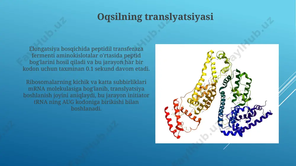 irsiyatning molekulyar asoslari - Page 4