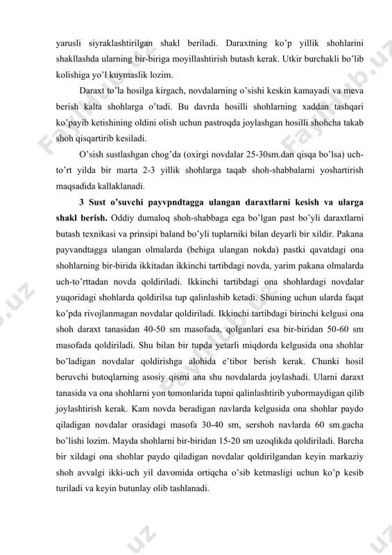 vojlanmagan novdalar qoldiriladi. ikkinchi tartibdagi birinchi kelgusi ona shoh daraxt tanasidan 40-50 sm masofada, qolganlari esa bir-biridan 50-60 sm masofada qoldiriladi. shu bilan bir tupda yetarli miqdorda kelgusida ona shohlar bo’ladigan novdalar qoldirishga alohida e’tibor berish kerak. chunki hosil beruvchi butoqlarning asosiy qismi ana shu novdalarda joylashadi. ularni daraxt tanasida va ona shohlarni yon tomonlarida tupni qalinlashtirib yubormaydigan qilib joylashtirish kerak. kam novda beradigan navlarda kelgusida ona shohlar paydo qiladigan novdalar orasidagi masofa 30-40 sm, sershoh navlarda 60 sm.gacha bo’lishi lozim. mayda shohlarni bir-biridan 15-20 sm uzoqlikda qoldiriladi. barcha bir xildagi ona shohlar paydo qiladigan novdalar qoldirilgandan keyin markaziy shoh avvalgi ikki-uch yil davomida ortiqcha o’sib ketmasligi uchun ko’p kesib turiladi va keyin butunlay olib tashlanadi. kesish texnikasi quyidagicha: yosh nixollarda shoh-shabbalar barpo qilinayotganda bir yillik novdalar ularda tartibdagi shohlar paydo bo’lishi uchun uch hissa qisqartiriladi. ayni paytda asosiy novdaning hamma ortiqcha hisoblangan va tupni qalinlashtirib, qalin soya-salqin qilib yuboradigan …