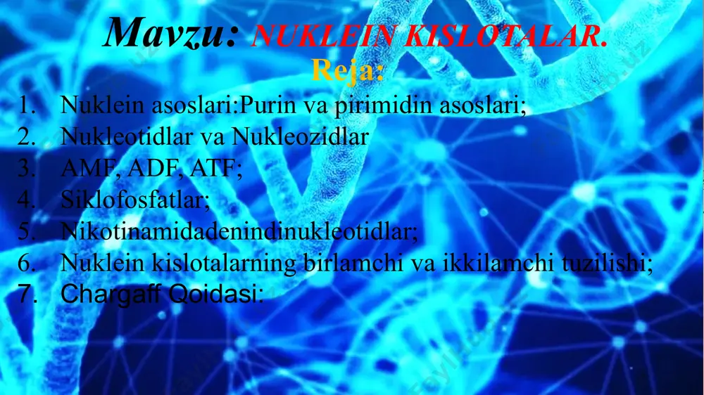 va sitozin va purinli asoslardan adenin va guanin kiradi. bu asoslarning hammasi umumiy holda azot asoslari deb yuritiladi.nuklein kislotalar tarkibiga kiruvchi azotli asoslari bilan farq qiladi. sitozin, adenin, guanin ham rnk, ham dnk tarkibida bo'lsa, uratsil faqat rnk tarkibiga, timin esa faqat dnk tarkibiga kiradi. pirimidinli asoslar purinli asoslar ph muxitga qarab oksi gurux tutgan azot asoslari 2 xil tautomer xolatda bo’lishi mumkin:laktim va laktam xolatda. purinlar va pirimidinlarning xamma oksi xosilalari nuklein kislotalari tarkibida laktam xolatda bo’ladi. uratsil yoki 2,4-digidroksipirimidin sharoitga qarab quyidagi tautomer shakllarda bo'lishi mumkin: nukleozidlar nuklein asoslarning riboza yoki dezoksiriboza bilan hosil qilgan n- glikozid shaklidagi birikmalari nukleozidlar deyiladi. uglevod qoldig'ining tabiatiga ko'ra nukleozidlar ribonukleozidlar va dezoksiribonukleozidlarga bo'linadi. 1.ribonukleozidlar: uridin,sitidin, adenozin, guanozin. 2. dezoksiribonukleozidlar: timidin, dezoksisitidin, dezoksiadenozin, dezoksiguanozin. nukleotidlar - nukleozidlar bilan fosfat kislotadan hosil bo'lgan murakkab efirlardir. odatda, barcha nukleotidlarda efir bog'i pentoza qoldig'idagi c-3' yoki c-5' holatlardagi gidroksid guruhi bilan fosfat kislota orasida hosil …