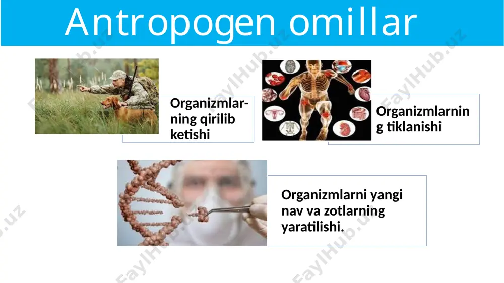 ekologik omillar - Page 5