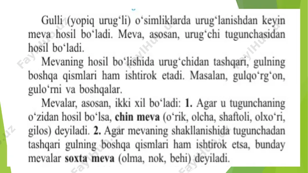 mevalar - Page 2