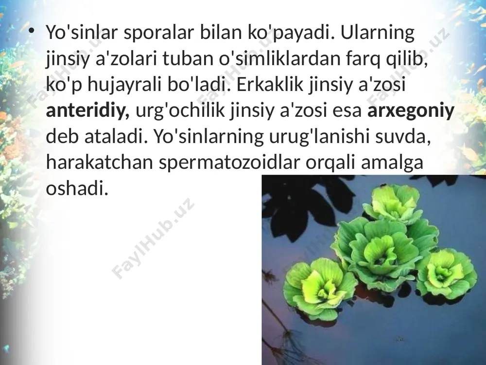 yo'sinlar bo'limi. 6 - sinf - Page 5